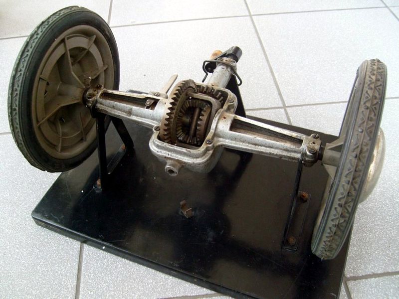 Plik:Pmnm-s7302588.jpg