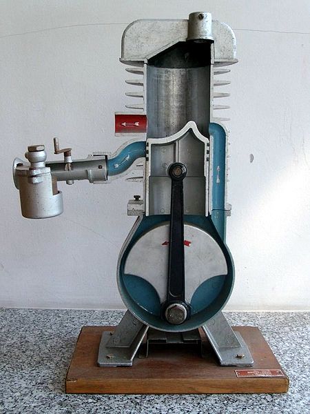 Plik:Pmnm-s7302574.jpg