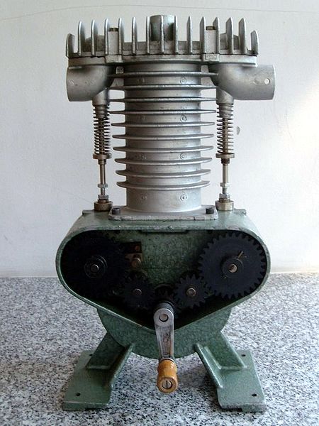 Plik:Pmnm-s7302573.jpg
