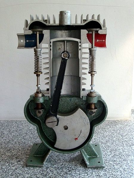Plik:Pmnm-s7302571.jpg