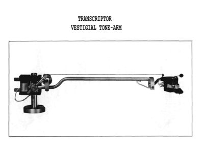 Transcriptor07.jpg