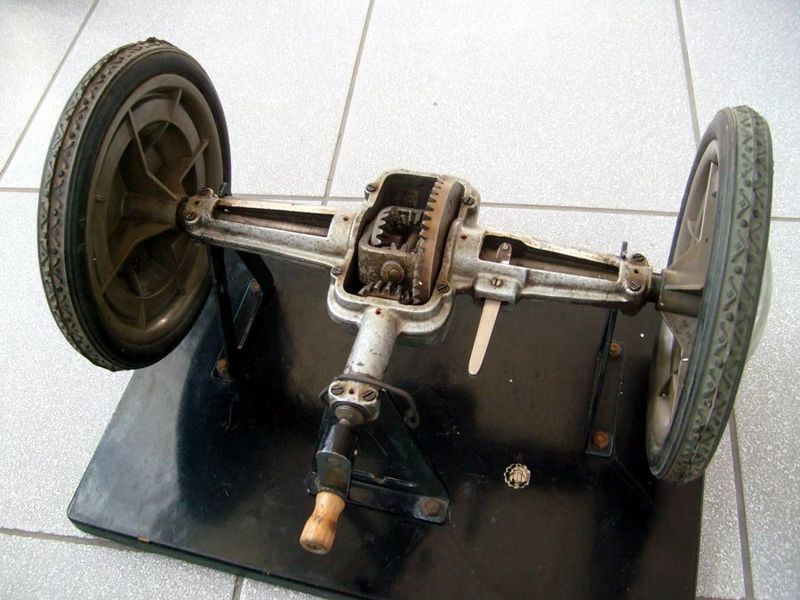 Plik:Pmnm-s7302589.jpg