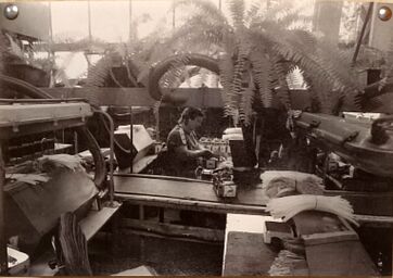 Kasprzak 20251021-07-a4.jpg