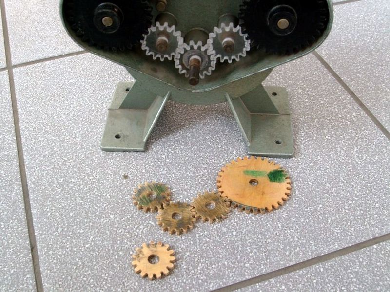 Plik:Pmnm-s7302583.jpg