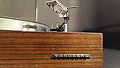 Miniatura wersji z 11:02, 10 lis 2012