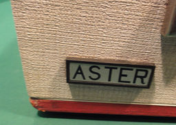 Aster -05.JPG