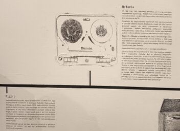 Wyst -17 20251021 175826-1.jpg