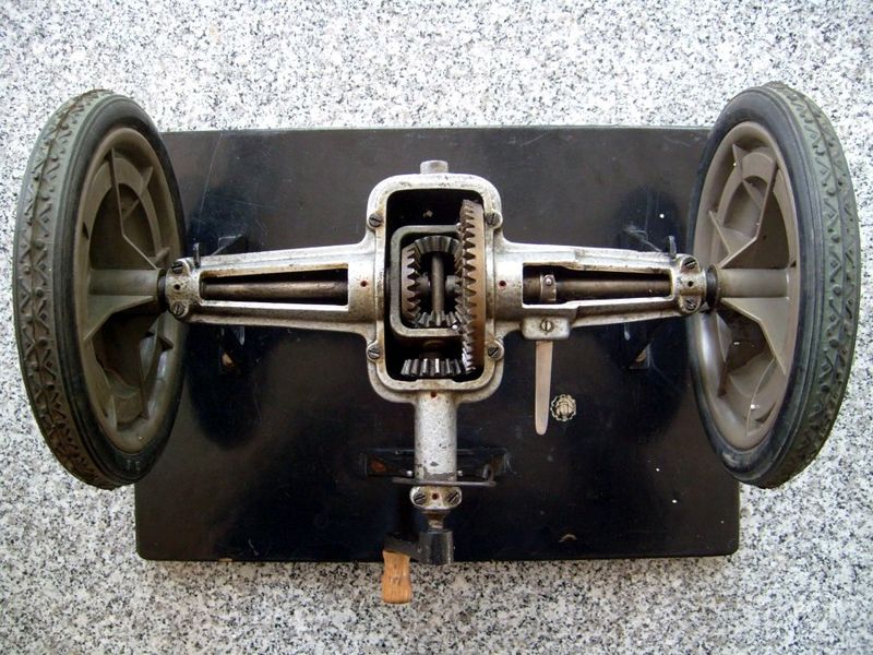 Plik:Pmnm-s7302587.jpg